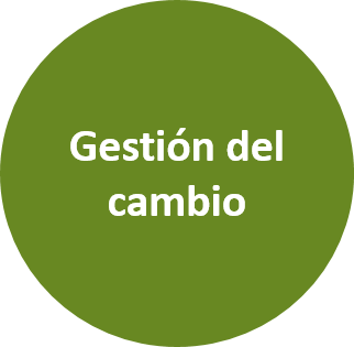 Selección de mandos intermedios y directivos